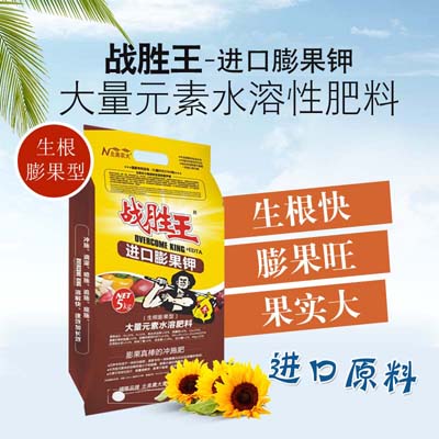 北美农大教你如何在南瓜膨大期施壮瓜肥