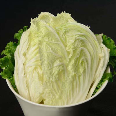 北美农大冲施肥厂家教你种植高产白菜