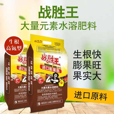 种植白术用什么水溶肥好?